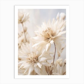 Boho Dried Flowers Edelweiss 1 Art Print