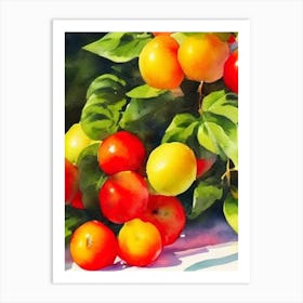 Ackee Italian Watercolour fruit Art Print