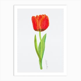 Tulip8 Art Print