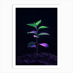 Green Plant On Dark Background Art Print