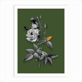 Vintage Common Rose of India Black and White Gold Leaf Floral Art on Olive Green n.0473 Art Print