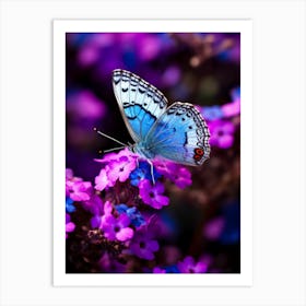 Blue Butterfly On Purple Flowers 2 Art Print