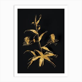 Vintage Flame Lily Botanical in Gold on Black Art Print