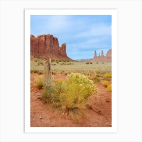 Monument Valley XIV on Film Art Print