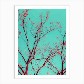 Red Branches Against A Turquoise Sky Art Print