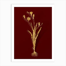 Vintage Ixia Bulbifera Botanical in Gold on Red n.0064 Art Print