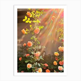 Roses In The Garden 3 Art Print