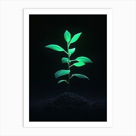 Green Plant In The Dark 8 Art Print