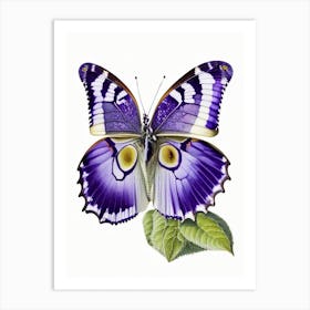 Purple Emperor Butterfly Decoupage 3 Art Print