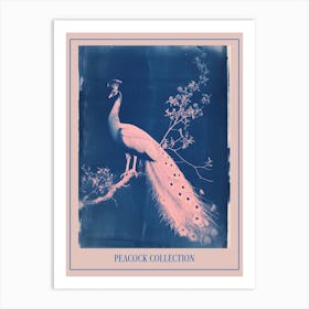 Peacock In The Tree Cyanotype Inspired 5 Poster Art Print