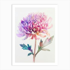 Watercolor Chrysanthemum Art Print