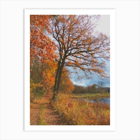 Autumn In The Woods 1 Art Print