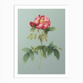 Vintage Provins Rose Botanical Art on Mint Green n.0273 Art Print