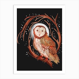 Nocturnal Barn Owl Art Print