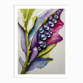 Water Droplets On A Leaf Art Print