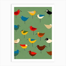 Dunlin 2 Midcentury Illustration Bird Art Print