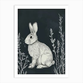 New Zealand Rabbit Minimalist Illustration 1 Art Print