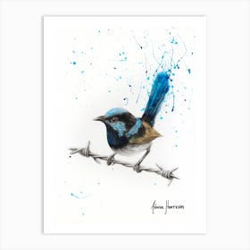 Balanced Blue Wren Art Print