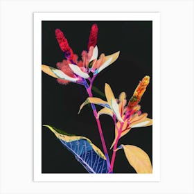 Neon Flowers On Black Celosia 1 Art Print