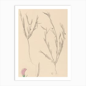 Flora Of California Art Print