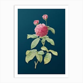 Vintage Agatha Rose in Bloom Botanical Art on Teal Blue n.0860 Art Print