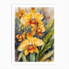 Lycaste Orchids Water Colour 1 1 Art Print