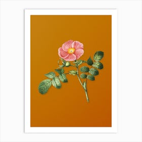 Vintage Japanese Rose Botanical on Sunset Orange n.0831 Art Print