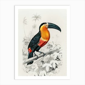 Toucan 1 Art Print