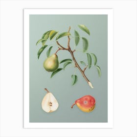 Vintage Pear Botanical Art on Mint Green n.0801 Art Print