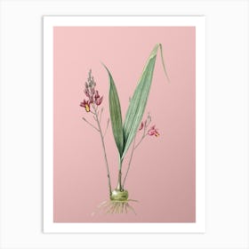 Vintage Pine Pink Botanical on Soft Pink n.0613 Art Print