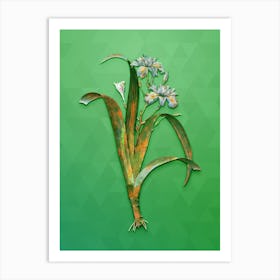 Vintage Iris Fimbriata Botanical Art on Classic Green n.1331 Art Print