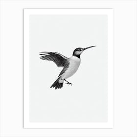 Baldpate B&W Pencil Drawing 1 Bird Art Print