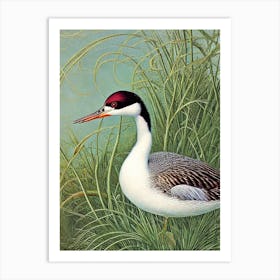 Grebe Haeckel Style Vintage Illustration Bird Art Print