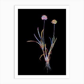Stained Glass Allium Carolinianum Mosaic Botanical Illustration on Black Art Print