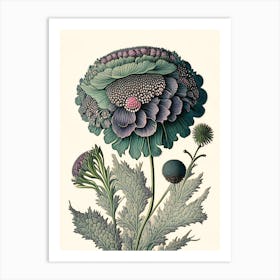 Scabiosa 2 Floral Botanical Vintage Poster Flower Art Print