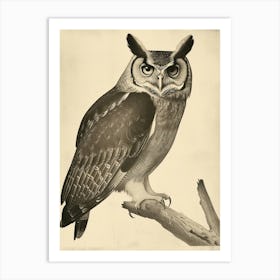 Philipine Eagle Owl Vintage Illustration 1 Art Print