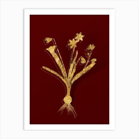 Vintage Scilla Amoena Botanical in Gold on Red Art Print