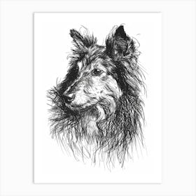 Shetland Sheepdog Dog Line Sketch 2 Art Print