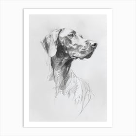 Redbone Hound Dog Charcoal Line 3 Art Print