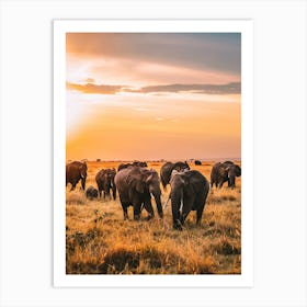 Herd Of Elephants At Sunset Art Print