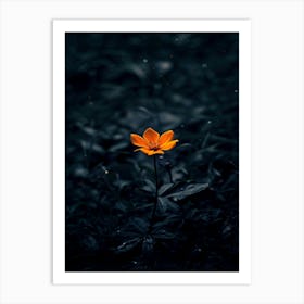 Dark Flower 17 Art Print