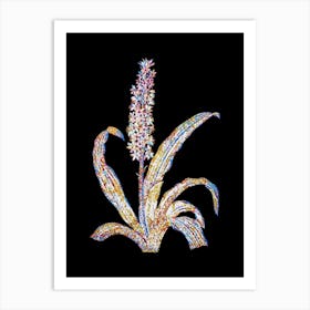 Stained Glass Eucomis Punctata Mosaic Botanical Illustration on Black n.0068 Art Print