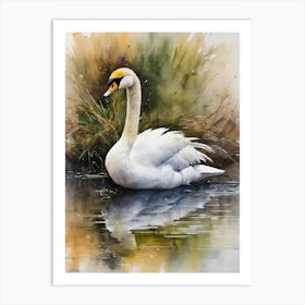 Calm Bewick S Swan Art Print