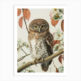 Northern Pygmy Owl Japanese Painting 3 Art Print