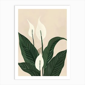 Peace Lily Plant Minimalist Illustration 6 Art Print