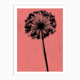 Img 3166 Art Print