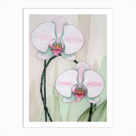 Orchids 5 Art Print