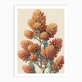 Spruce Tree Art Print