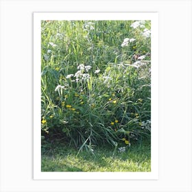 Wildflowers 1 Art Print