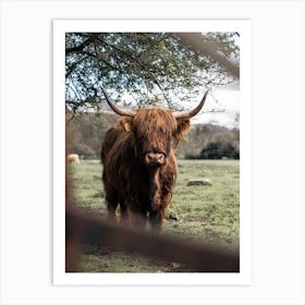 Highland Cow In Scotland Art Print